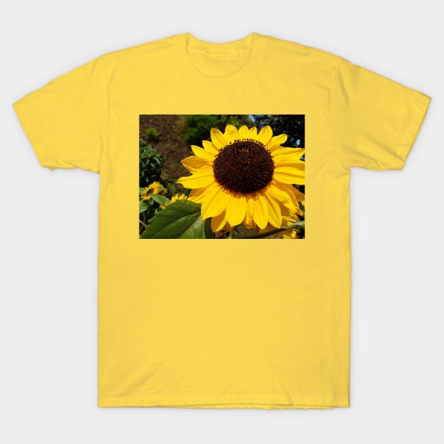 Sunflowers T-Shirt by Gaspar Avila